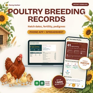May include: Poultry breeding records digital tool featuring a laptop and smartphone displaying data for hatch dates, fertility, and pedigrees. Includes a brown hen with four chicks, sunflowers, and wheat stalks. Text includes Penny Harbor, Poultry Breeding Records, and Oak Hollow Poultry.