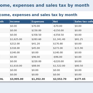 Artist Alley Income & Expense Ledger preview: Income, expenses and sales tax by month