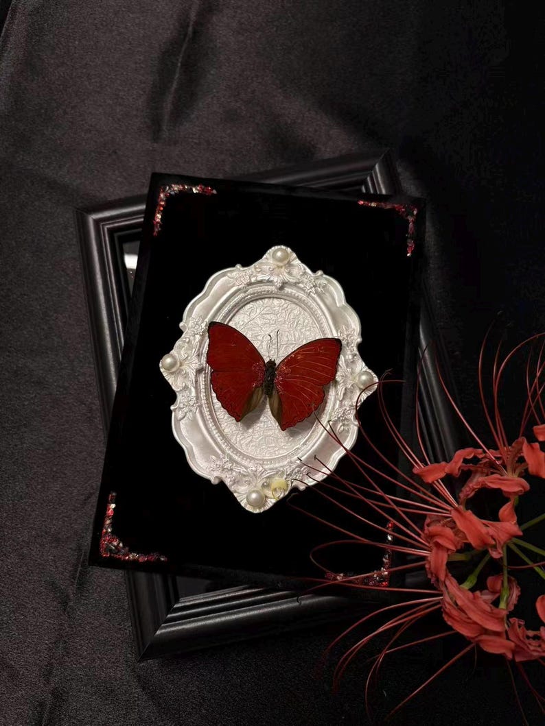 Framed Real Red Butterfly Specimen, Ornate Gothic Display, Victorian ...