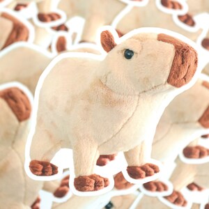 Capybara Plush Sticker: Matte Vinyl, Weatherproof (3 x 3 Inches)