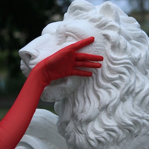 May include: A white plaster lion statue with a red glove gently touching its face.
