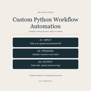 Custom Python Automation Script - Business Data Workflow and Original Source Code