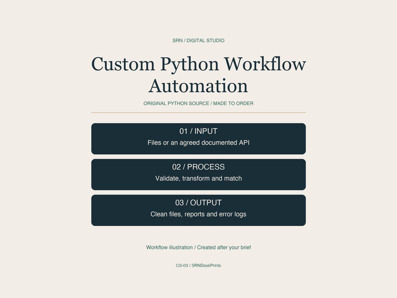 Workflow concept graphic with three steps: input data, process and validate, then export results. Labels explain that custom Python source is created after the project brief.