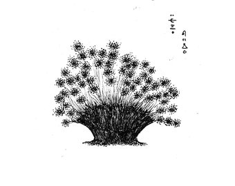 Ttlji Spirit Tree - Bonsai Bush (A5)