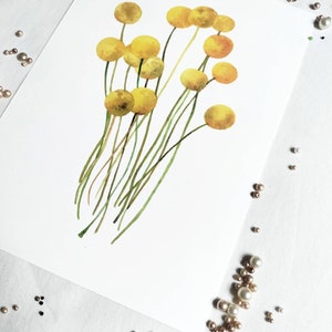 Craspedia Yellow Flower Art Print A4 image 4