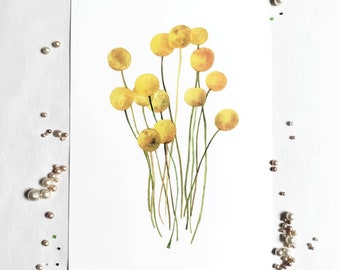 Craspedia Yellow Flower Art Print (A4)