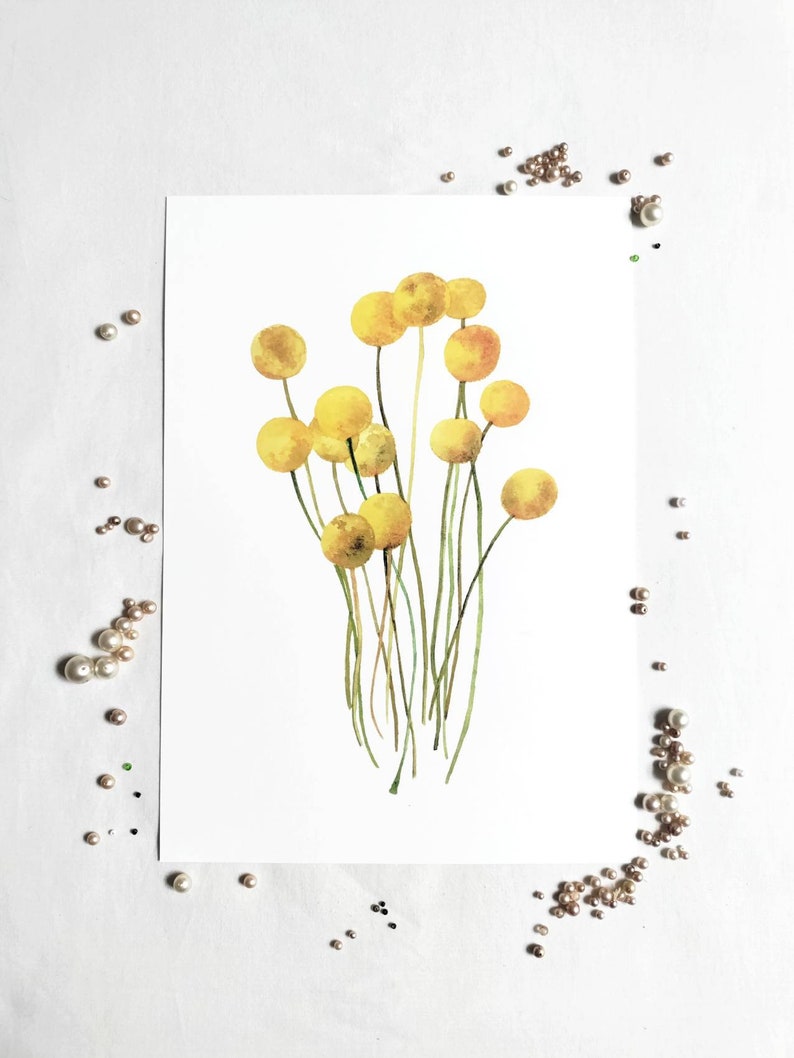 Craspedia Yellow Flower Art Print A4 image 1