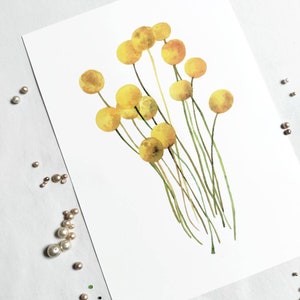 Craspedia Yellow Flower Art Print A4 image 2