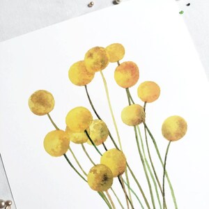 Craspedia Yellow Flower Art Print A4 image 3