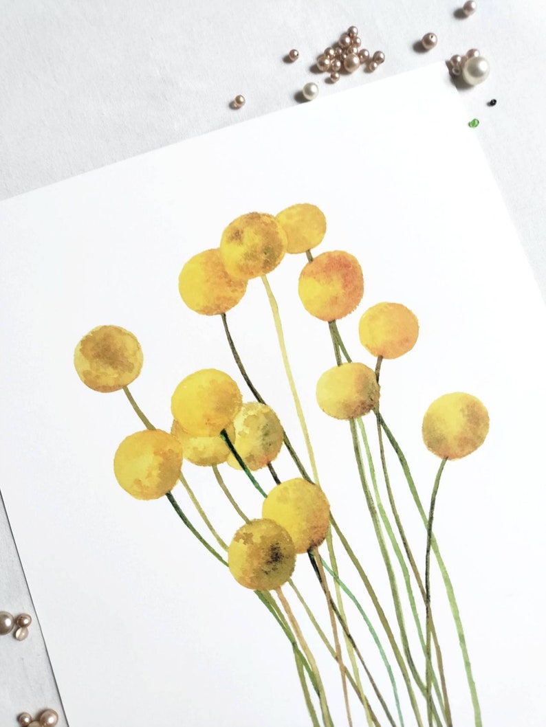 Craspedia Yellow Flower Art Print A4 image 3