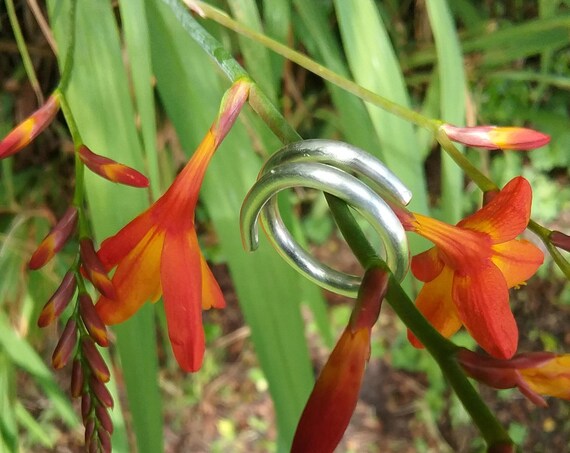 Sterling Silver Celtic Torc Open Ring
