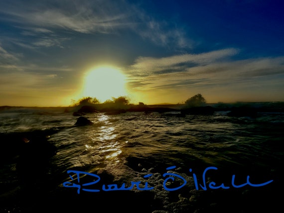 Atlantic Seahorse Wave In Sunset