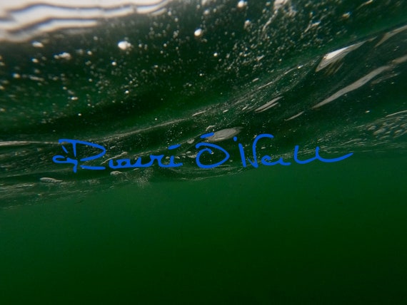 Underwater Green Seas Photograph on Canvas Ready to hang