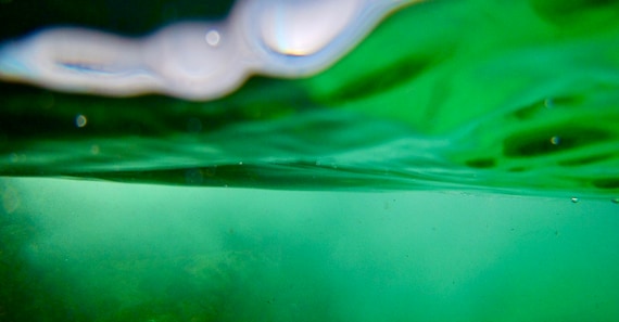Underwater Looking Up, Tranquil Green, Relaxing Refreshing Cool Limited Edition Photo Print, Gallery & Collector Quality, 75 years Lifespan