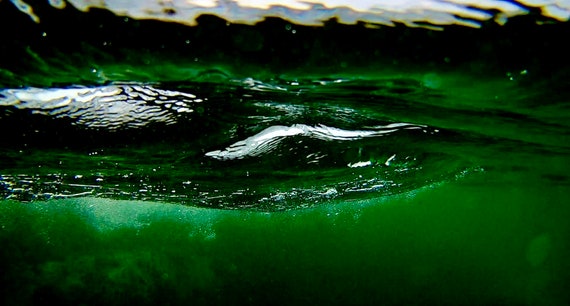 Beneath The Atlantic, Underwater Limited Edition Acrylic Laminated Photo, Green, white, Gallery And Collector Quality, 75 Years Lifespan