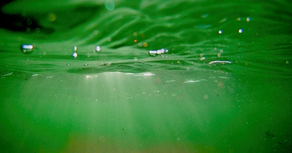 Sun Beneath The Sea, Underwater Photography, Tranquil Green, Limited Edition Relax Photo, Calm, Gallery Collector Quality, 75 Years Lifespan