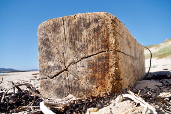 Driftwood 2, Beach, Sand, Blue Skies, Atlantic Ocean, Connemara, Limited Edition Acrylic LaminatedPhoto