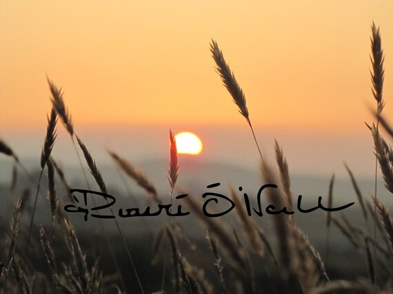 Summer Sunrise with Grass in Connemara, Ireland,  Limited Edition Photograph on Canvas, ready to hang