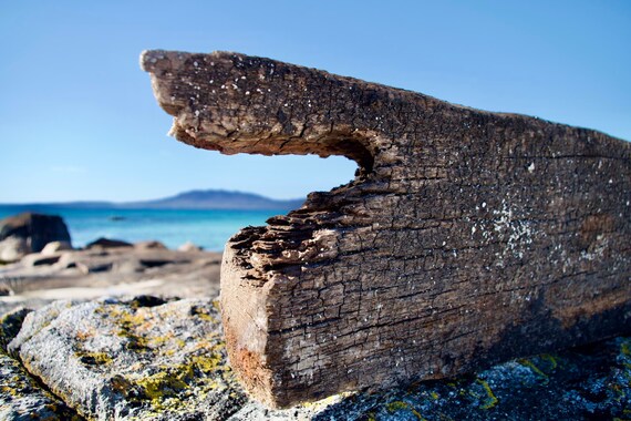 Driftwood 4, Roundstone, Connemara, Atlantic Ocean, Blue Sky and Sea, Yellow Lichen, Limited Edition Acrylic laminated Photo