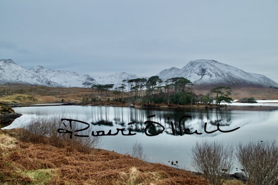 Pine Island Connemara With Snow On Beanna Beola Mountains Photograph on Canvas ready to hang.