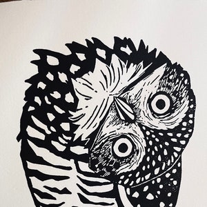 Hoo, Too! 5" x 7" Burrowing Owl with turned head Block Print on Archival Cotton Paper Printed by Hand Open Edition, Signed