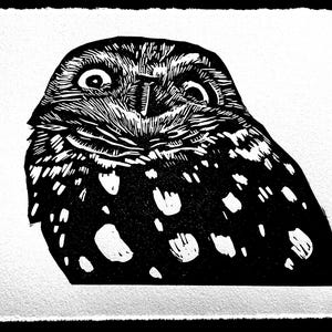 May include: Black and white woodcut print of an owl with large eyes and a spotted pattern. The owl is looking directly at the viewer.