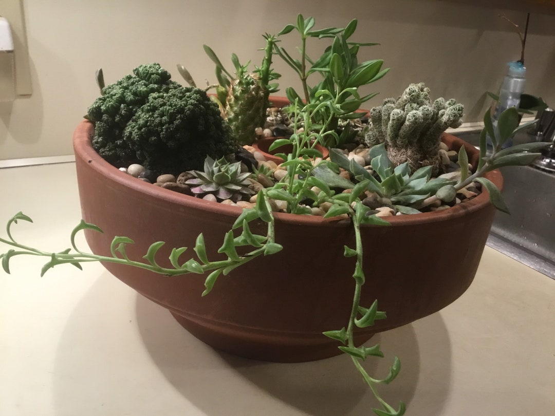 Patio Umbrella Table Terracotta Planter Etsy