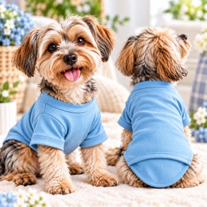 May include: Two small dogs with brown and black fur wearing matching light blue short-sleeved shirts. One dog faces forward with its mouth open, while the other dog is positioned with its back to the viewer, showing the shirt's hem.