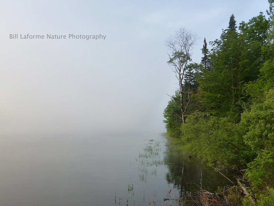 Serene morning on Lake Francis NH 11x14 framed matted and Etsy