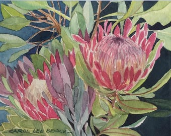 Proteas - framed in a silver frame