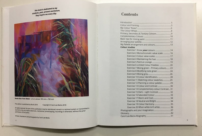 Colour A Practical Approach Hard Cover edition. A book on Colour for the artist image 2