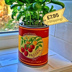 Passata Tomato Storage Tin, Metal Utensil Pot
