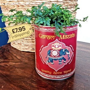 May include: A red metal container, labelled "Garam Masala", with an elephant illustration, filled with green plants. A woven basket is in the background. The container is on a wooden surface.