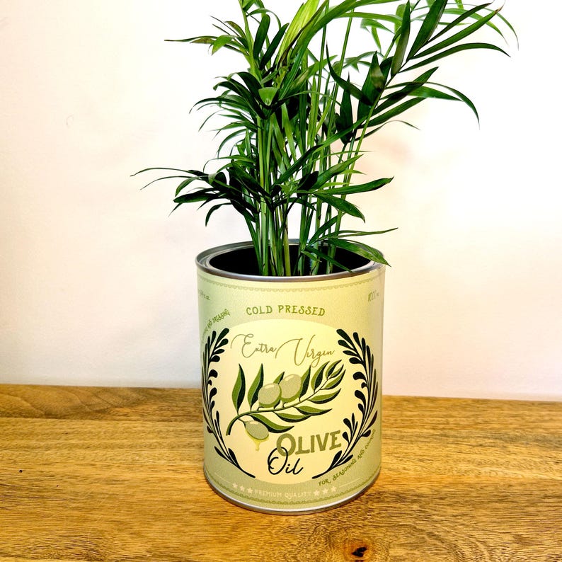 May include: A potted plant in a repurposed olive oil can. The can is light green with the words "Extra Virgin Olive Oil" and a graphic of olives and leaves. The plant has long, thin green leaves and is set on a wooden surface.