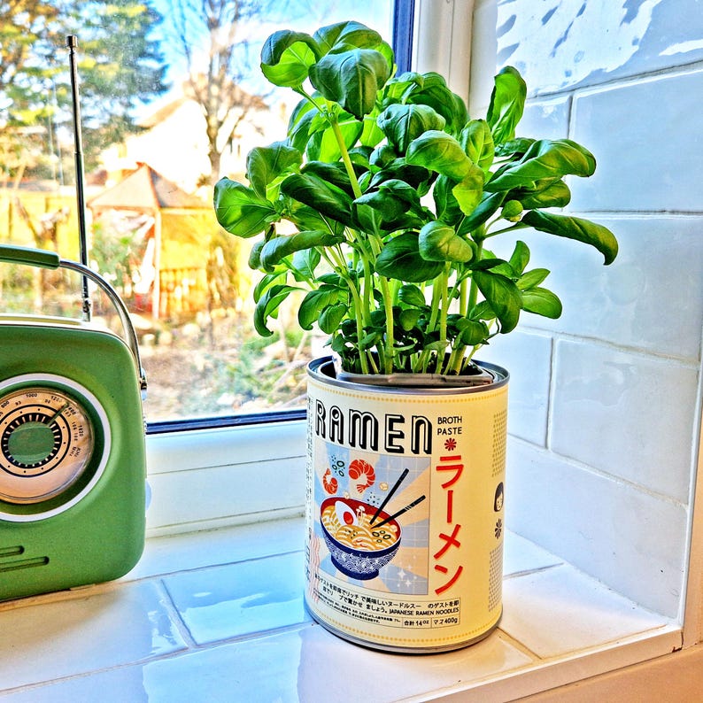 May include: A vibrant green basil plant in a repurposed ramen broth paste can. The can features a colorful illustration of ramen noodles with shrimp and an egg. The plant sits on a white tiled windowsill next to a green retro radio.
