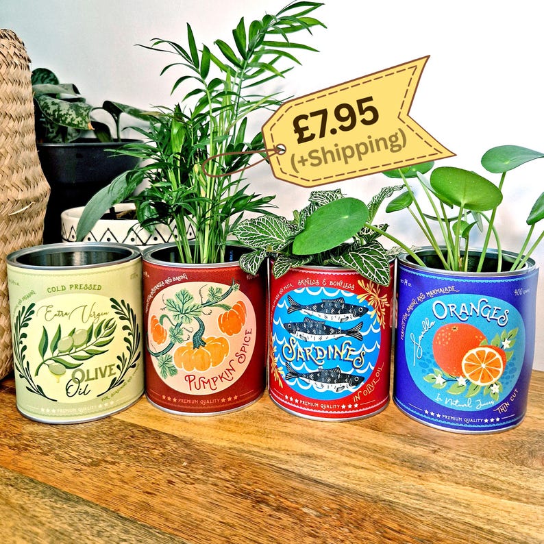 May include: Four decorative tin can planters with plants. The cans feature labels with olive oil, pumpkin spice, sardines, and oranges. The cans are in shades of yellow, red, and blue, and are placed on a wooden surface.