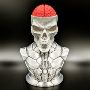 May include: A white skull bust featuring a bright red brain exposed at the top of the cranium. The skull sits atop a metallic silver torso piece designed with a segmented, geometric armor-like pattern covering the chest and shoulders.