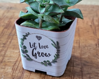 CUSTOM Succulent Wedding Favor Wraps, Shiplap Let Love Grow - Custom Personalize Baby Shower Wedding Shower Live Plant for Guests Cover Pots
