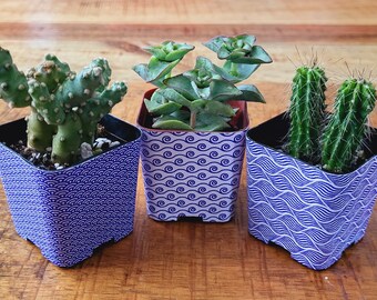 Custom 2" Succulent Wraps, 3 Wave patterns, Perfect to Customize your Party Favors or Gifts for a Bridal or Baby Shower, Wedding.