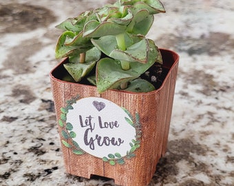 CUSTOM Succulent Wedding Favor Wraps, Woodgrain Let Love Grow - Custom Personalize Baby Shower Wedding Shower Pot for Live Plant Guests