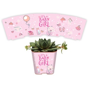 CUSTOM Succulent Baby Shower Favor Wraps, It&#39;s A Girl - Custom Personalize Shower Wedding Shower Live Plant Gift for Guests