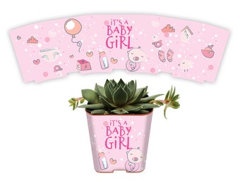 CUSTOM Succulent Baby Shower Favor Wraps, It's A Girl - Custom Personalize Shower Wedding Shower Live Plant Gift for Guests