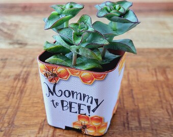 Custom 2" Succulent Wraps, Mommy to BEE, Beehive, Honey Comb, Customize your Party Favors or Gifts for a Bridal or Baby Shower, Wedding.
