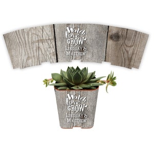 CUSTOM Succulent Wedding Favor Wraps, Grey Barnwood Watch Love Grow - Custom Personalize Baby Shower Bridal Shower Plant