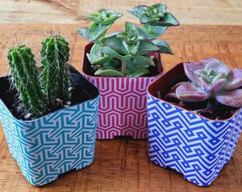 Custom 2" Succulent Wraps, Geometric Design, Perfect to Customize your Party Favors or Gifts for a Bridal or Baby Shower, Wedding.