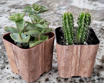 Custom 2" Succulent Wraps, Wood Print, Perfect to Customize your Party Favors or Gifts for a Bridal or Baby Shower, Wedding.