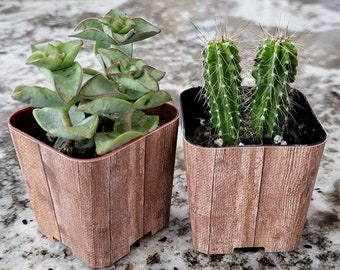 Custom 2" Succulent Wraps, Wood Print, Perfect to Customize your Party Favors or Gifts for a Bridal or Baby Shower, Wedding.