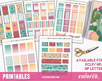 Funky Fruits ** HAPPY PLANNER ** themed weekly kit Printable Planner Stickers Happy Planner Instant Digital Download