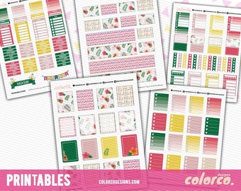 SUMMER Printable Planner Stickers Kit Set | Erin Condren, ECLP | Happy Planner | Instant Digital Download