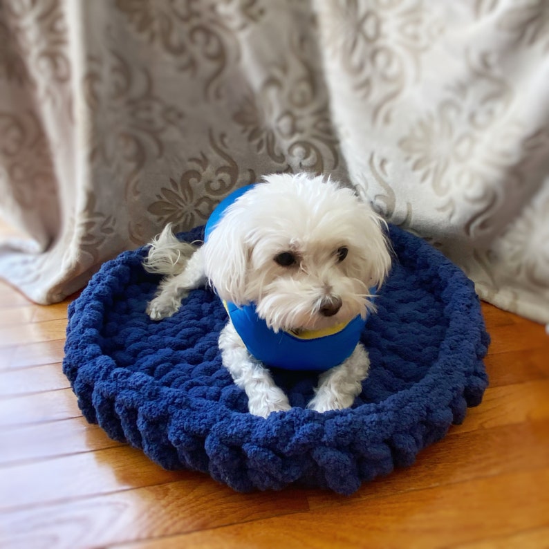 May include: A small white dog wearing a blue and yellow dog vest is lying in a blue knitted dog bed.